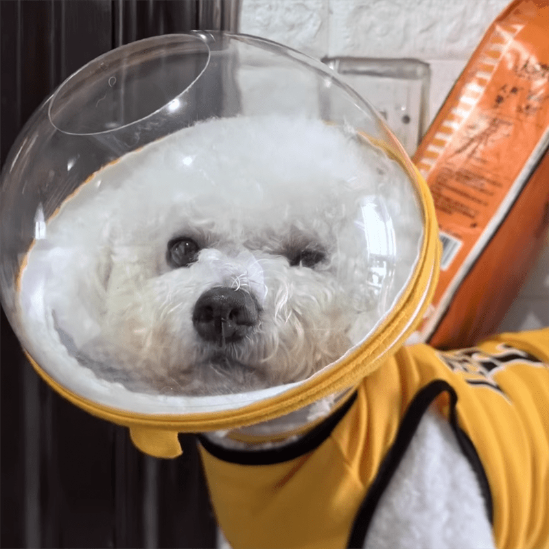 Pet Anti - Bite Mask No - Snack Full Head Cover Lightweight & Adjustable - PIKAPIKA