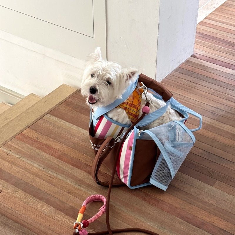 Pet Carrier Breathable Stripes Handbag for Dog Cat Under 8.8 lb - PIKAPIKA