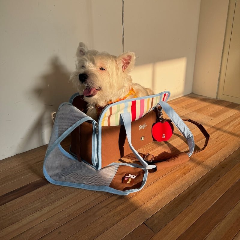 Pet Carrier Breathable Stripes Handbag for Dog Cat Under 8.8 lb - PIKAPIKA