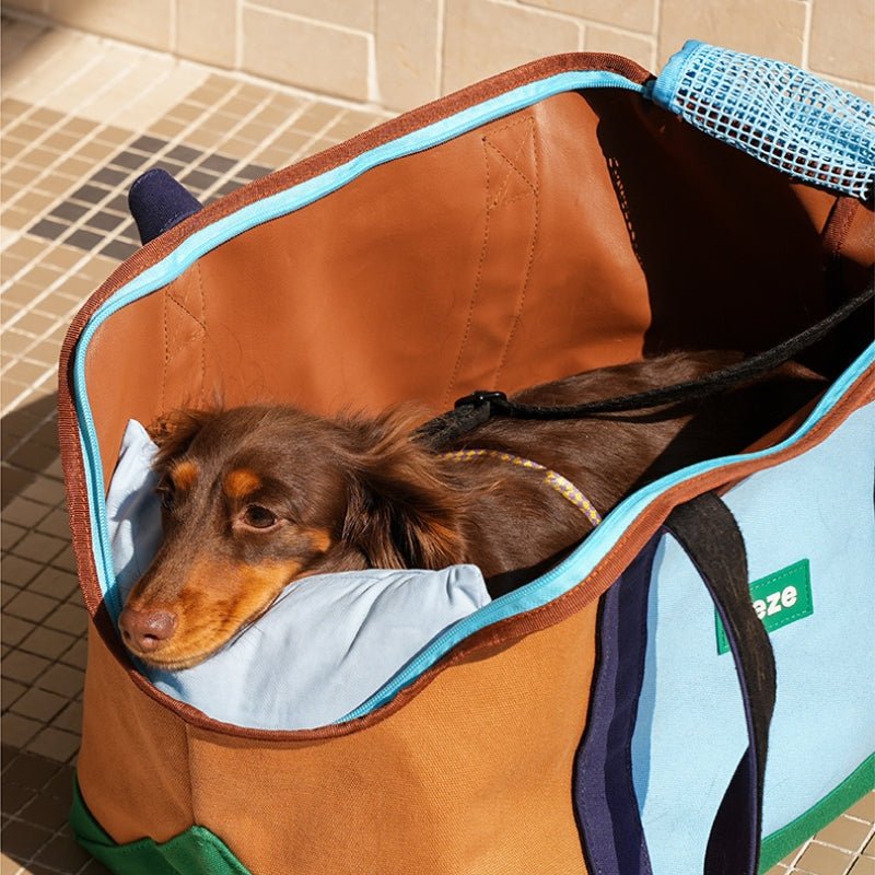 Pet Carrier Outing Portable Cat Dog Handbag - PIKAPIKA