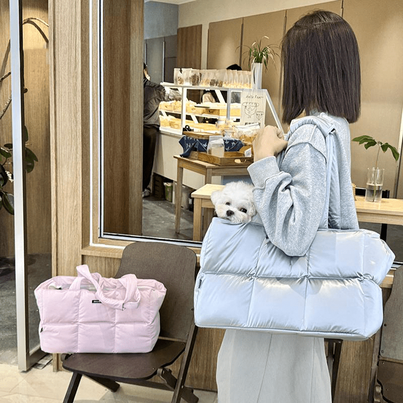 Pet Carrier Outing Stylish Portable Handbag For Pet Under 6.6 lbs - PIKAPIKA