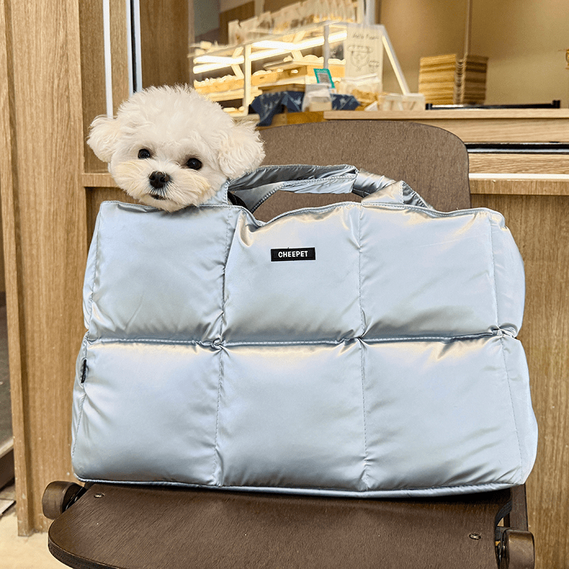 Pet Carrier Outing Stylish Portable Handbag For Pet Under 6.6 lbs - PIKAPIKA