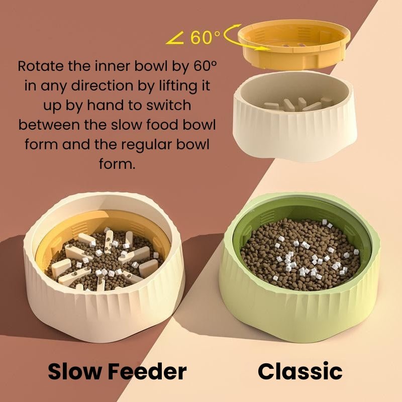 Pet Food Bowl 2 in 1 Plastic Slow Feeder Anti - slip - PIKAPIKA
