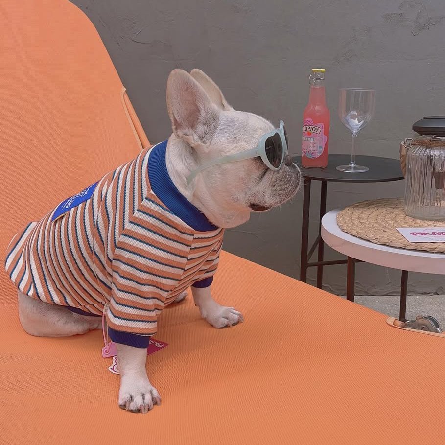 Stripe Shirt Sweatshirt Bulldog Dog Clothes