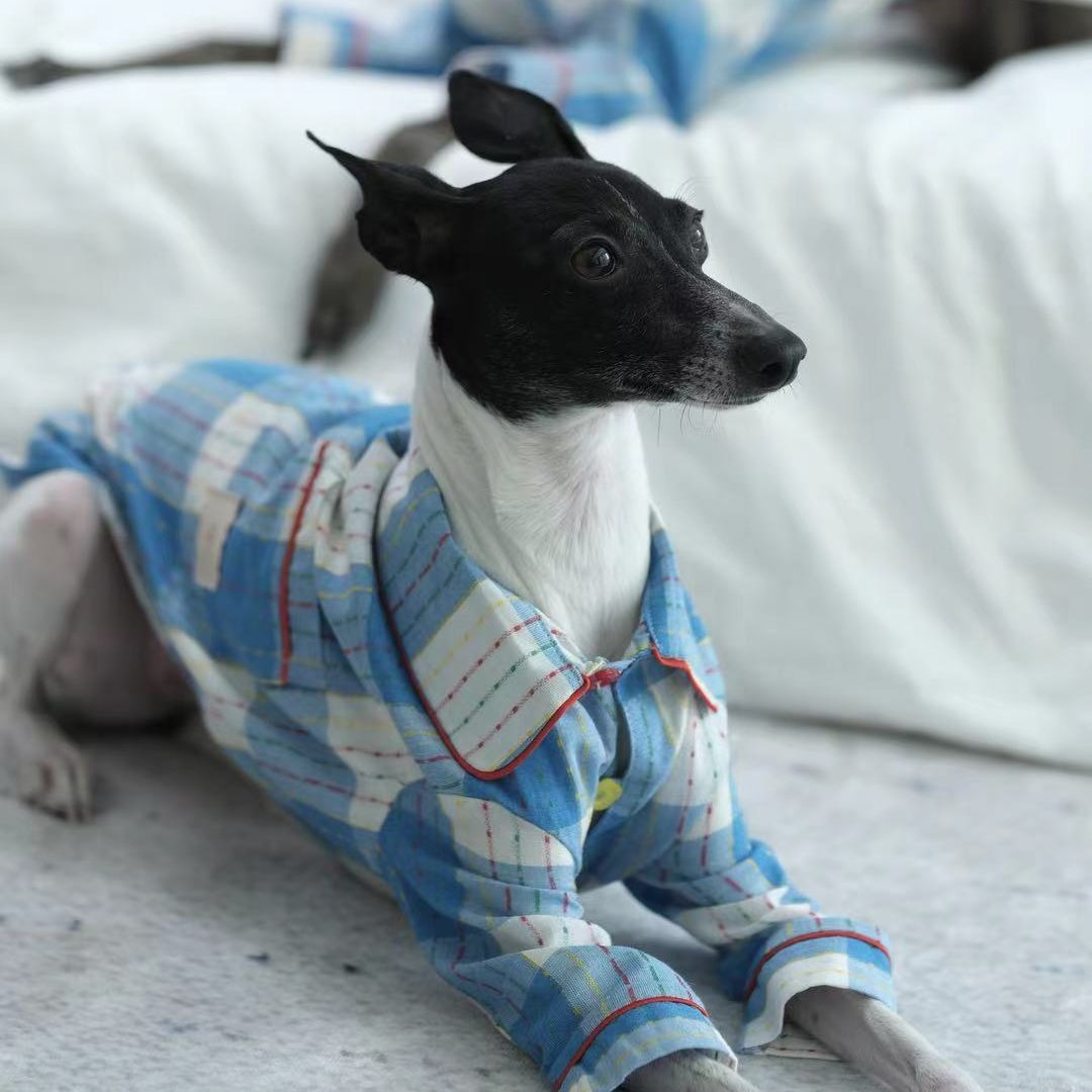 Plaid Cotton Dog Pajamas Comfortable Spring Loungewear - PIKAPIKA