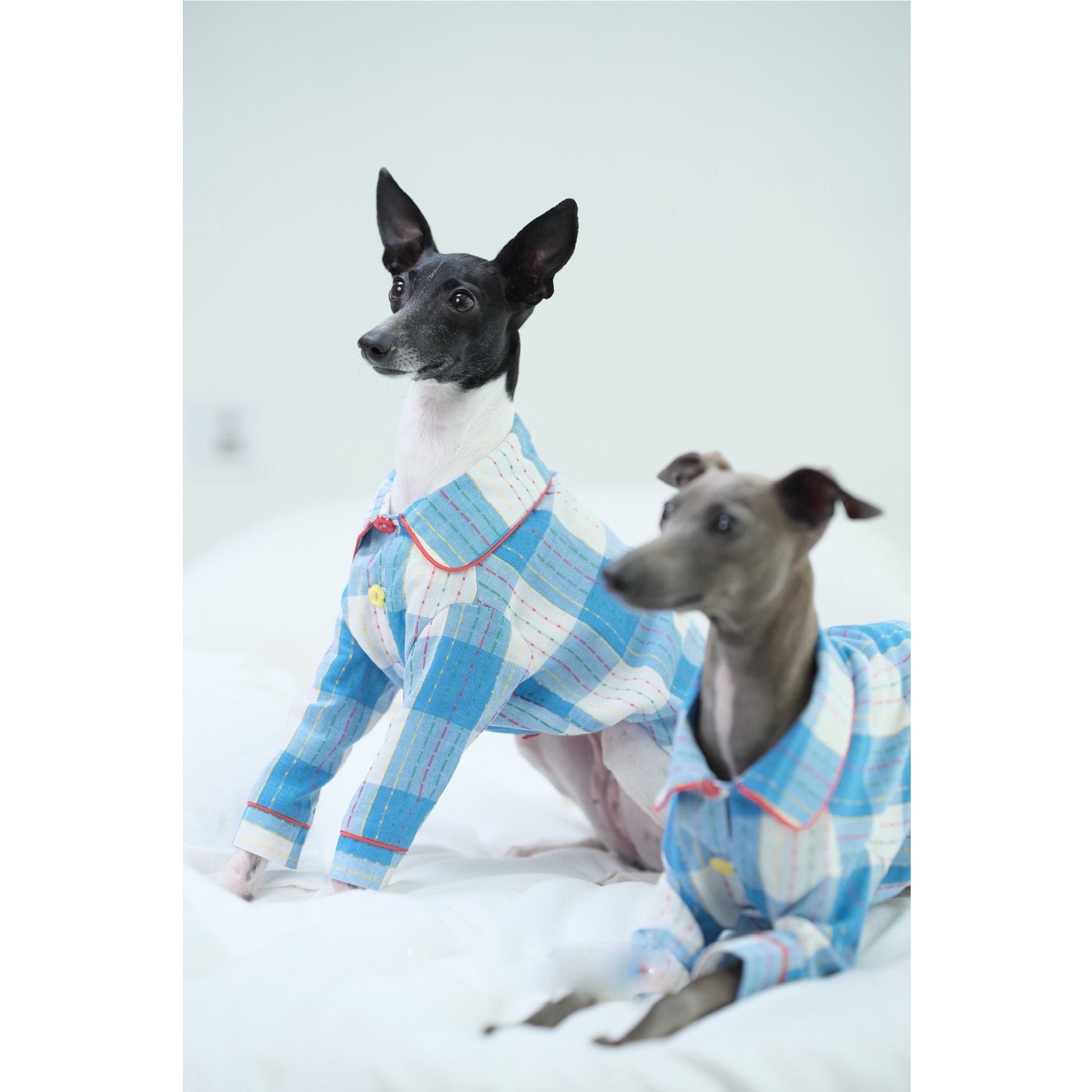Plaid Cotton Dog Pajamas Comfortable Spring Loungewear - PIKAPIKA
