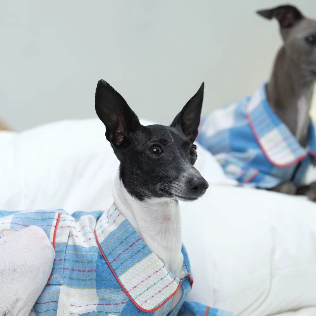 Plaid Cotton Dog Pajamas Comfortable Spring Loungewear - PIKAPIKA