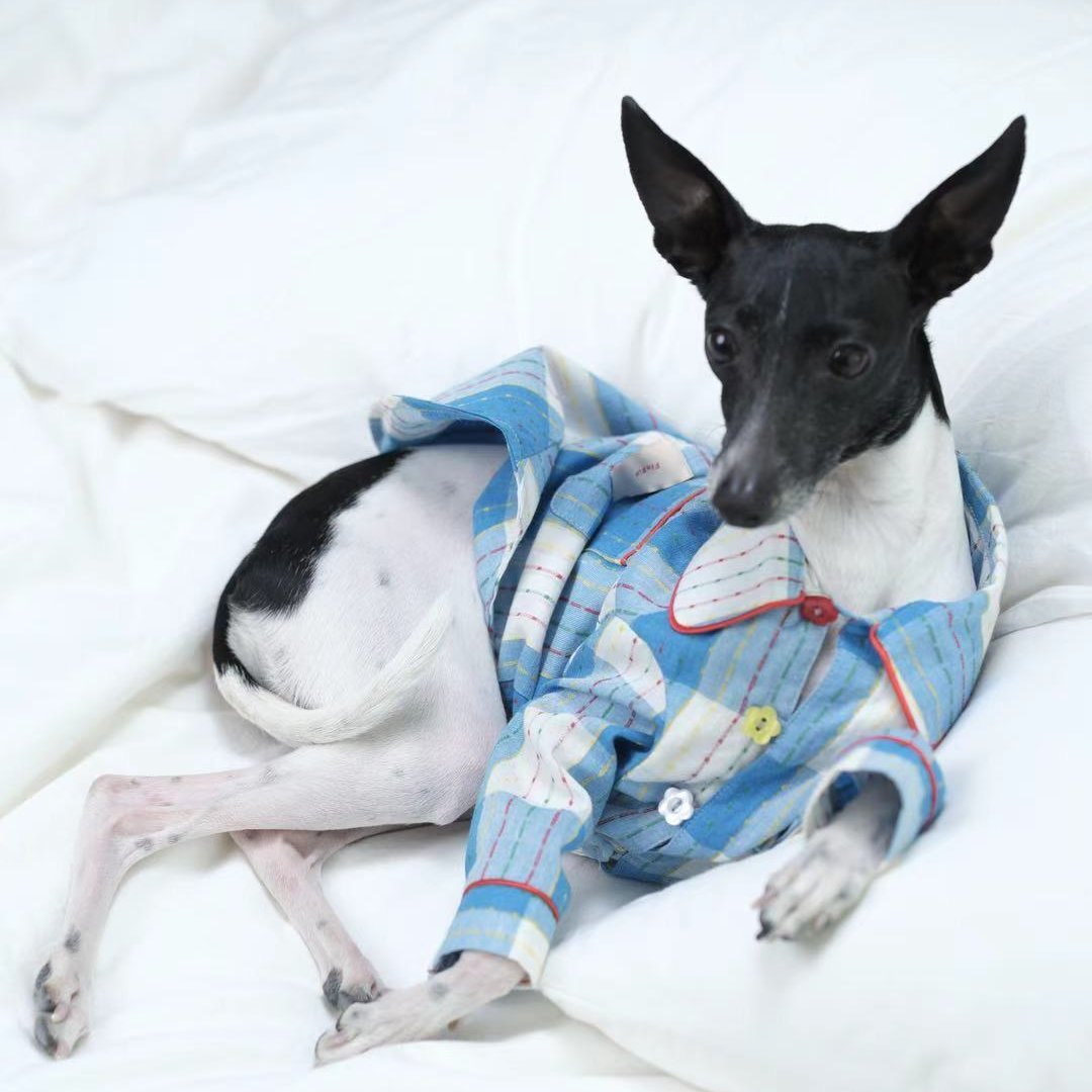 Plaid Cotton Dog Pajamas Comfortable Spring Loungewear - PIKAPIKA