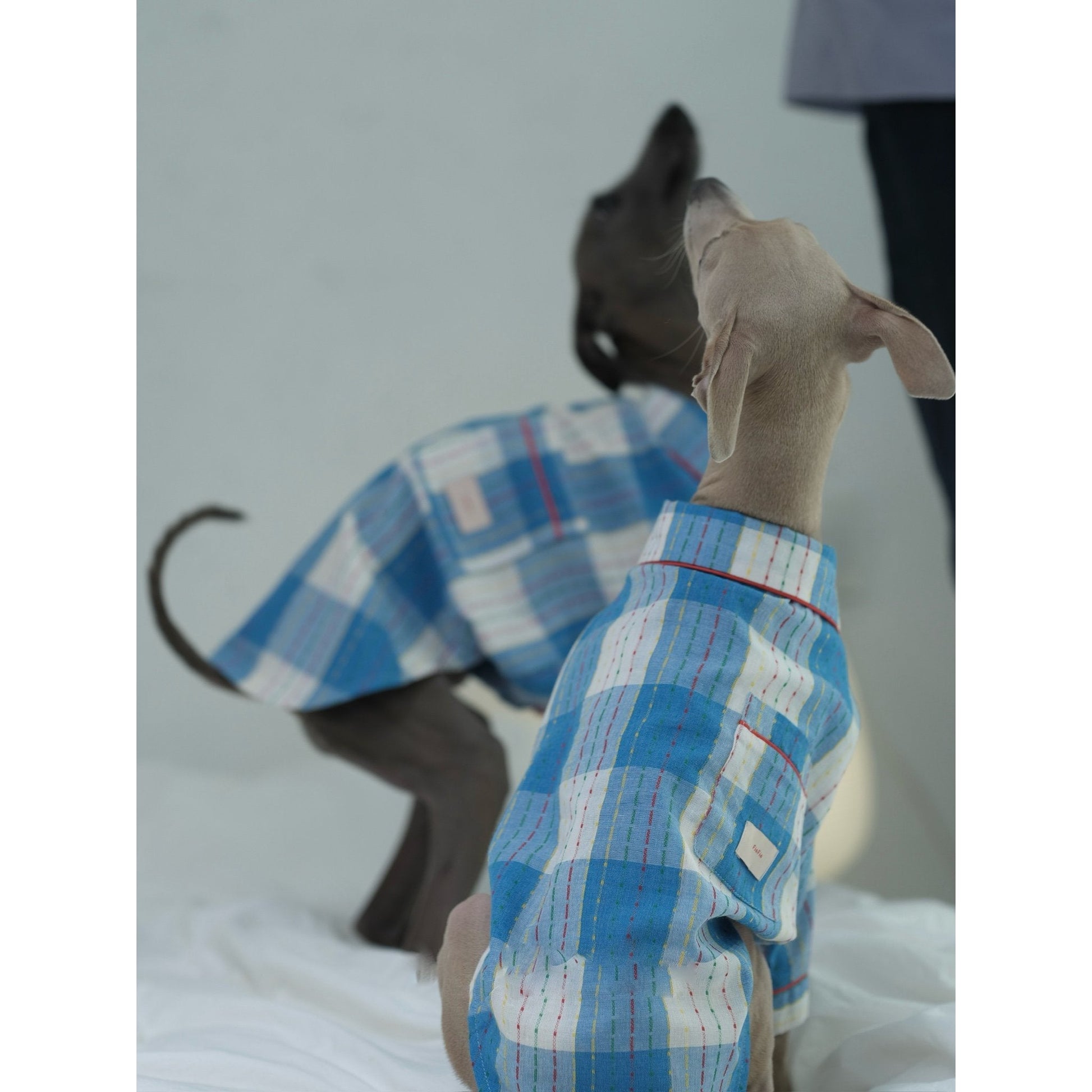 Plaid Cotton Dog Pajamas Comfortable Spring Loungewear - PIKAPIKA