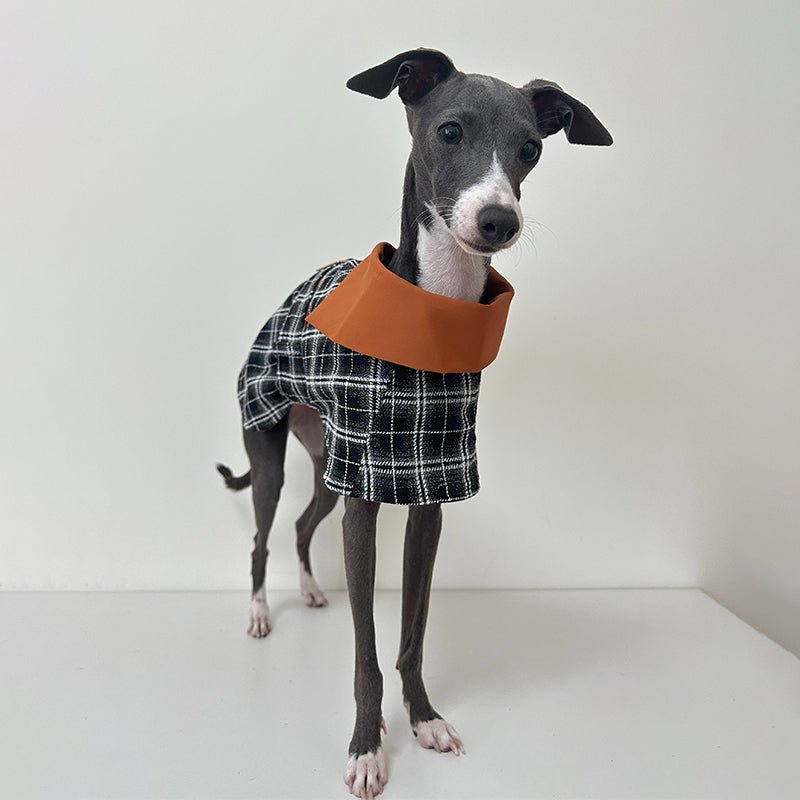 Plaid Wind Coat Cloak for Italian Greyhound Whippet - PIKAPIKA