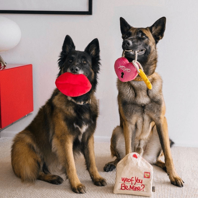 Plush Squeaky Dog Toy Valentine's Day Love Gift - PIKAPIKA