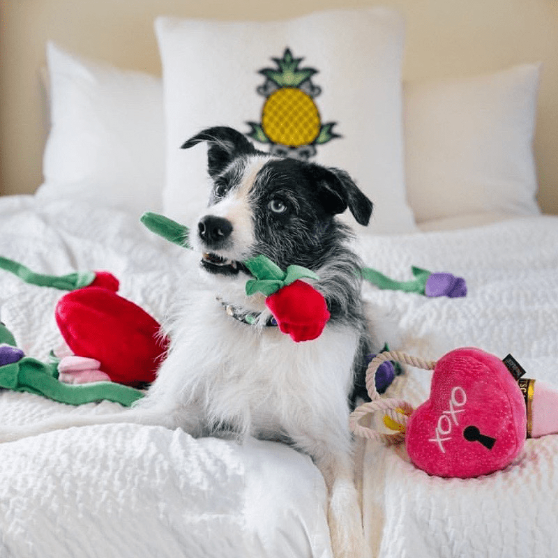Plush Squeaky Dog Toy Valentine's Day Love Gift - PIKAPIKA