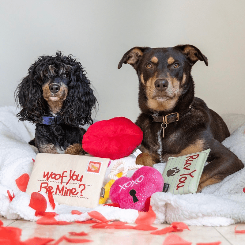 Plush Squeaky Dog Toy Valentine's Day Love Gift - PIKAPIKA