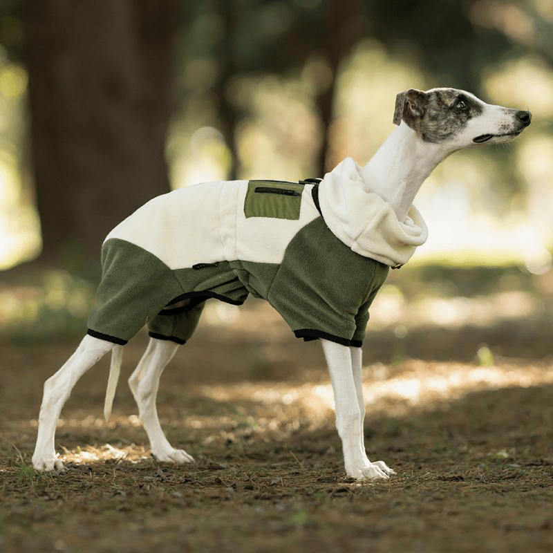 Polar Fleece Dog Onesies Outwear Italian greyhound Whippet Clothes - PIKAPIKA