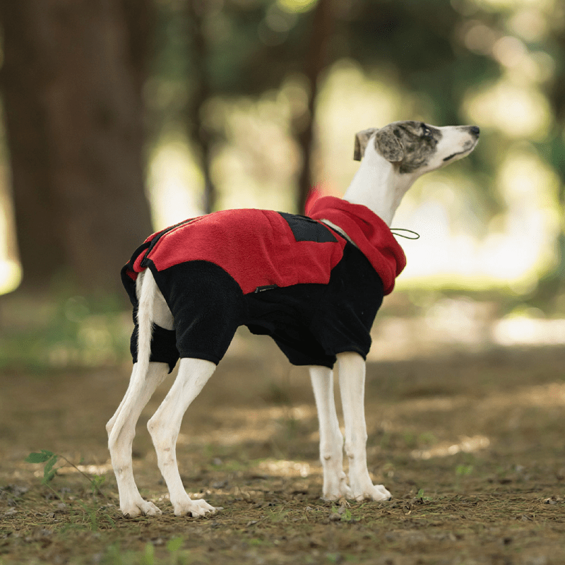 Polar Fleece Dog Onesies Outwear Italian greyhound Whippet Clothes - PIKAPIKA