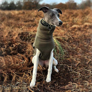 Polar Fleece Turtleneck Shirts for Italian Greyhound Whippet Dog Clothes - PIKAPIKA