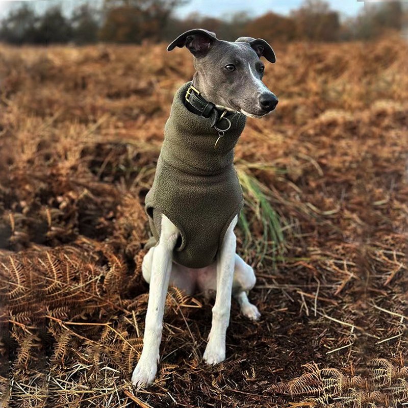 Polar Fleece Turtleneck Shirts for Italian Greyhound Whippet Dog Clothes - PIKAPIKA
