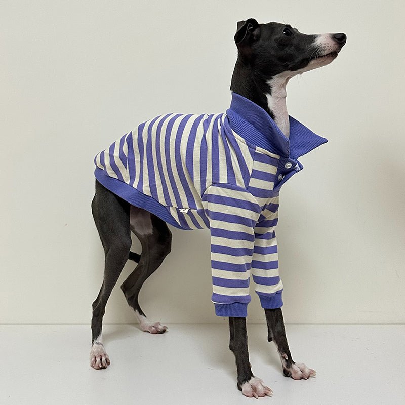 Polo Stripe Shirts for Italian Greyhound Whippet - PIKAPIKA