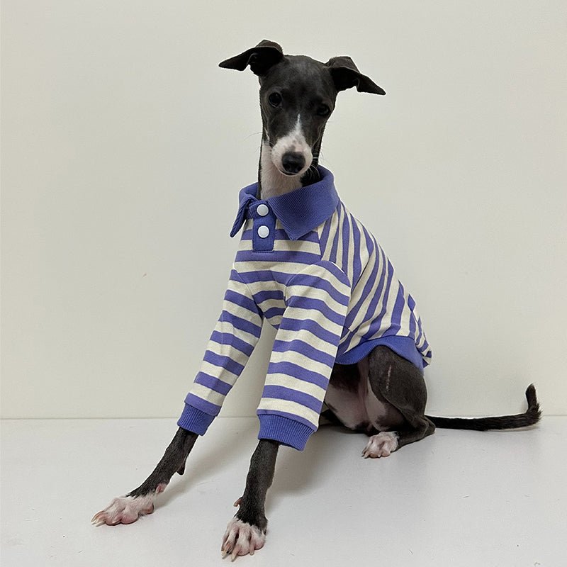 Polo Stripe Shirts for Italian Greyhound Whippet - PIKAPIKA