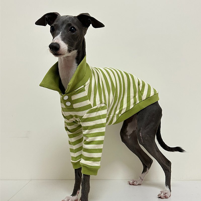 Polo Stripe Shirts for Italian Greyhound Whippet - PIKAPIKA
