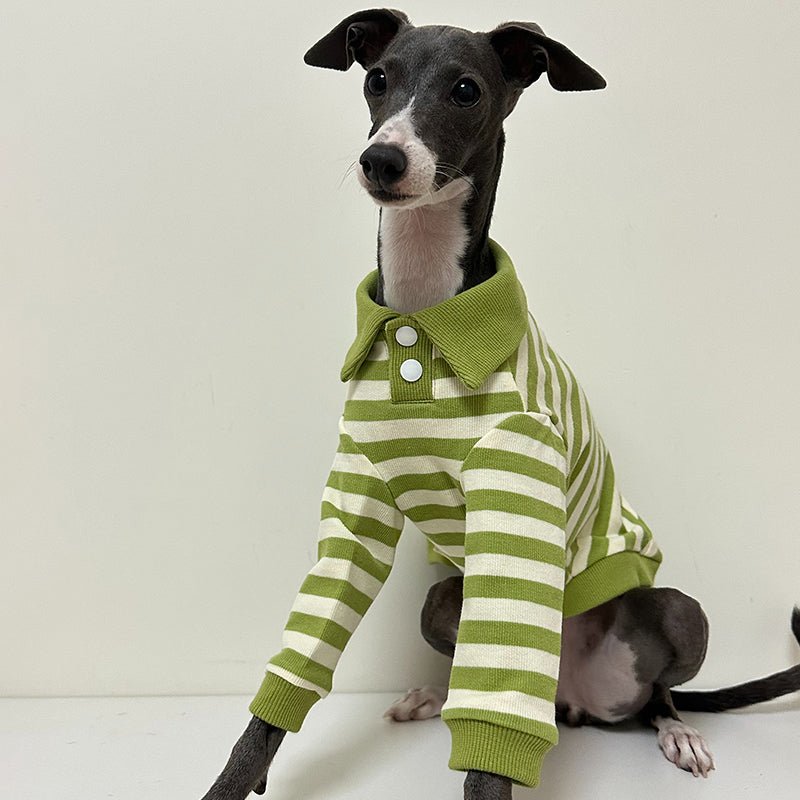 Polo Stripe Shirts for Italian Greyhound Whippet - PIKAPIKA
