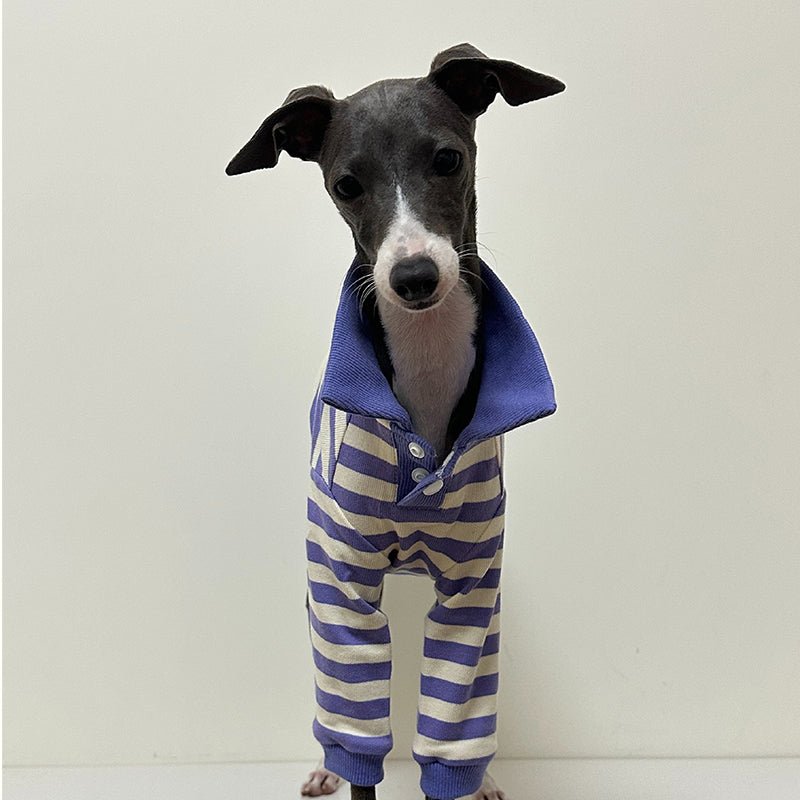 Polo Stripe Shirts for Italian Greyhound Whippet - PIKAPIKA