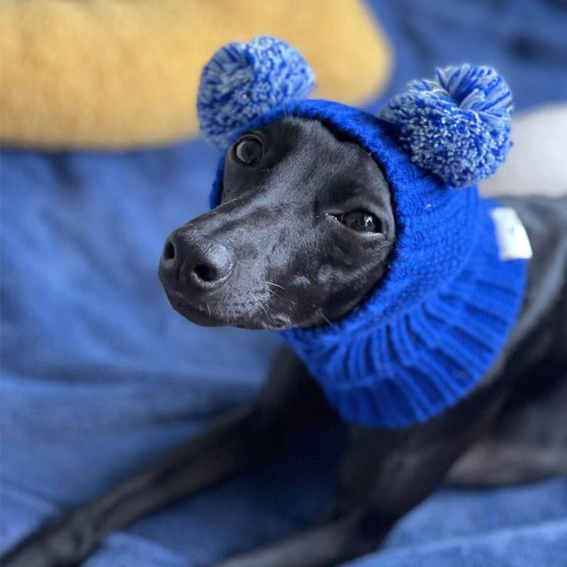 Pom Beanie Knitted Dog & Cat Hat - PIKAPIKA