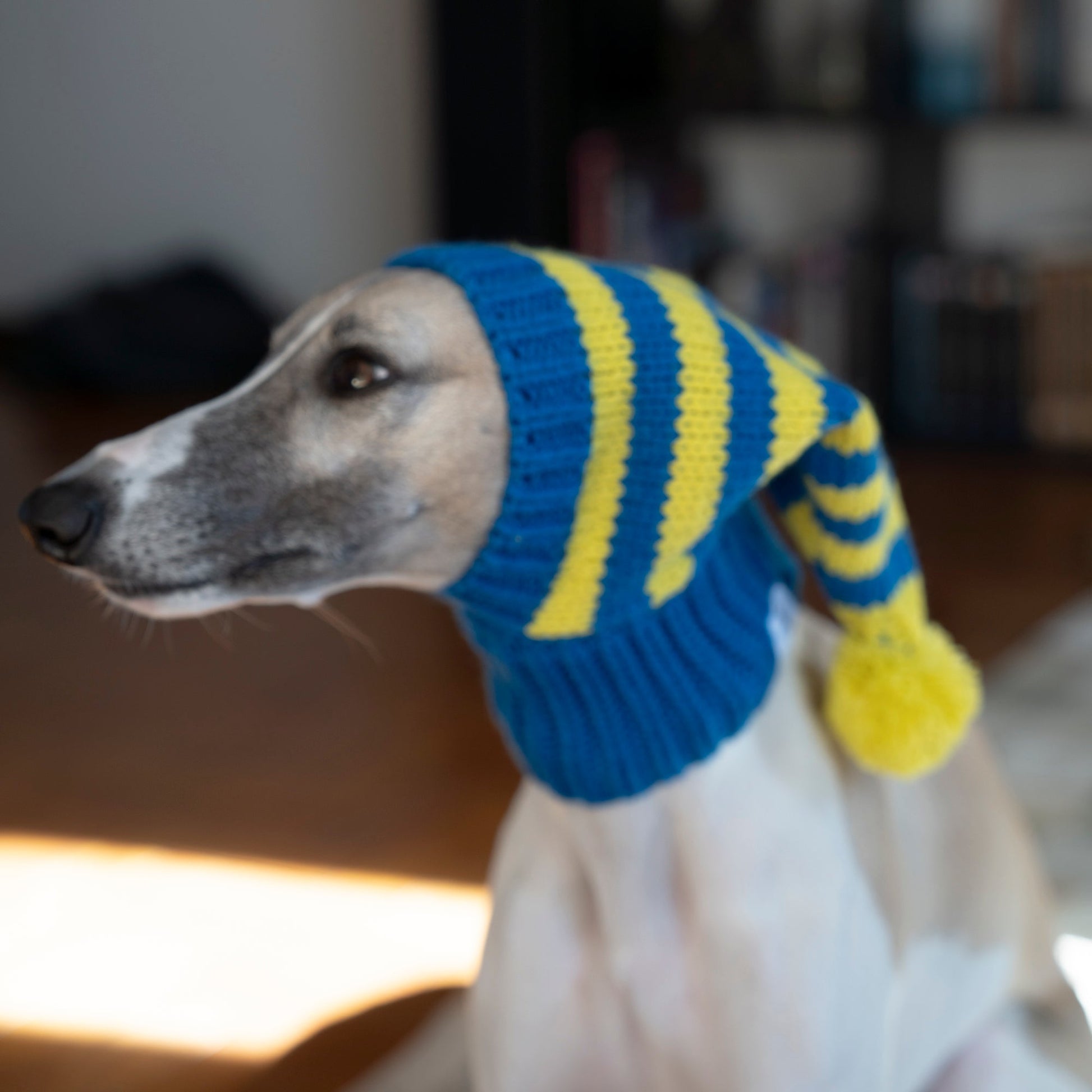 Pom Beanie Stripe Knitted Dog & Cat Hat - PIKAPIKA
