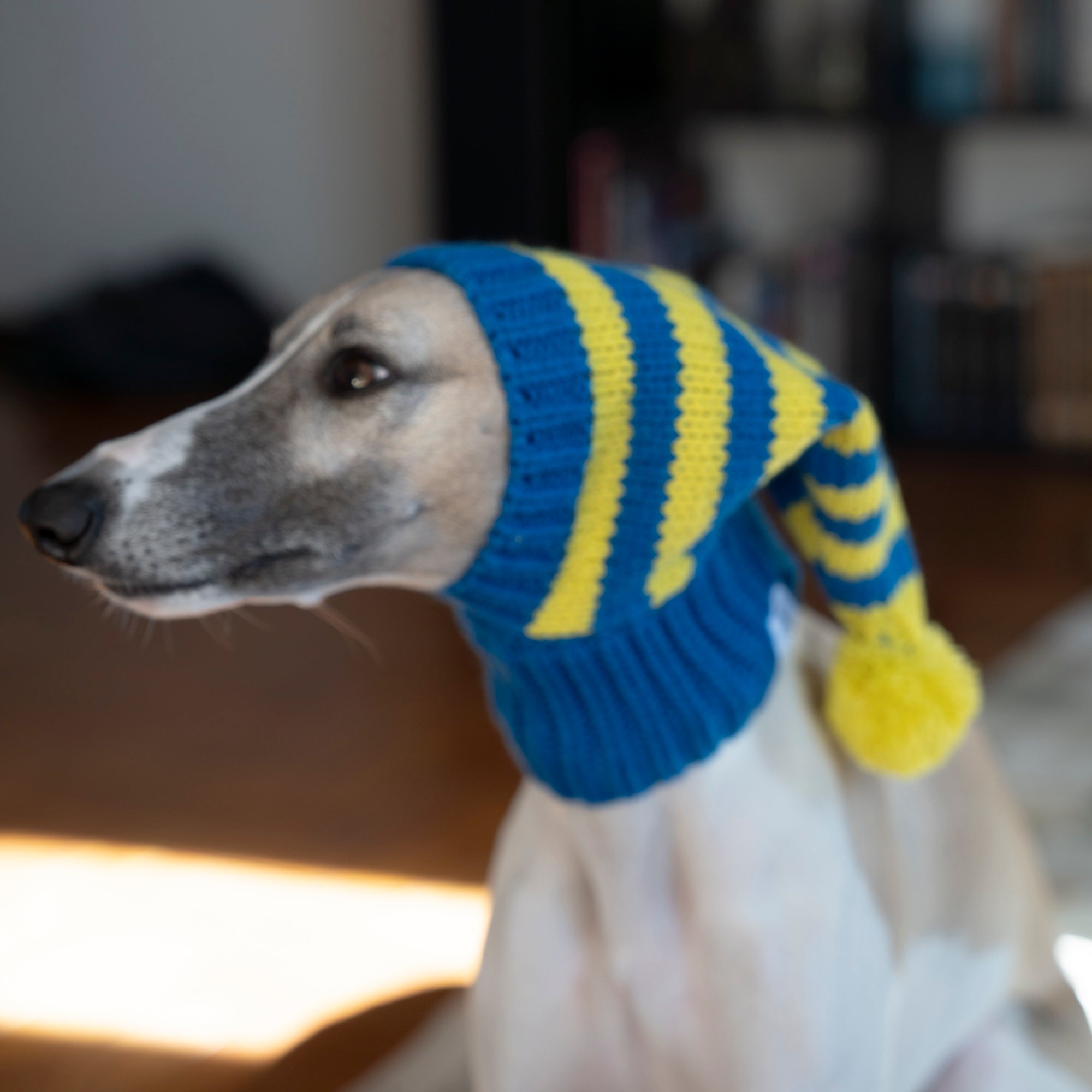 Pom Beanie Stripe Knitted Dog & Cat Hat - PIKAPIKA