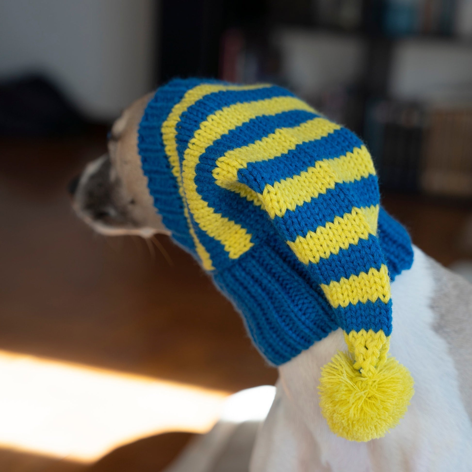 Pom Beanie Stripe Knitted Dog & Cat Hat - PIKAPIKA