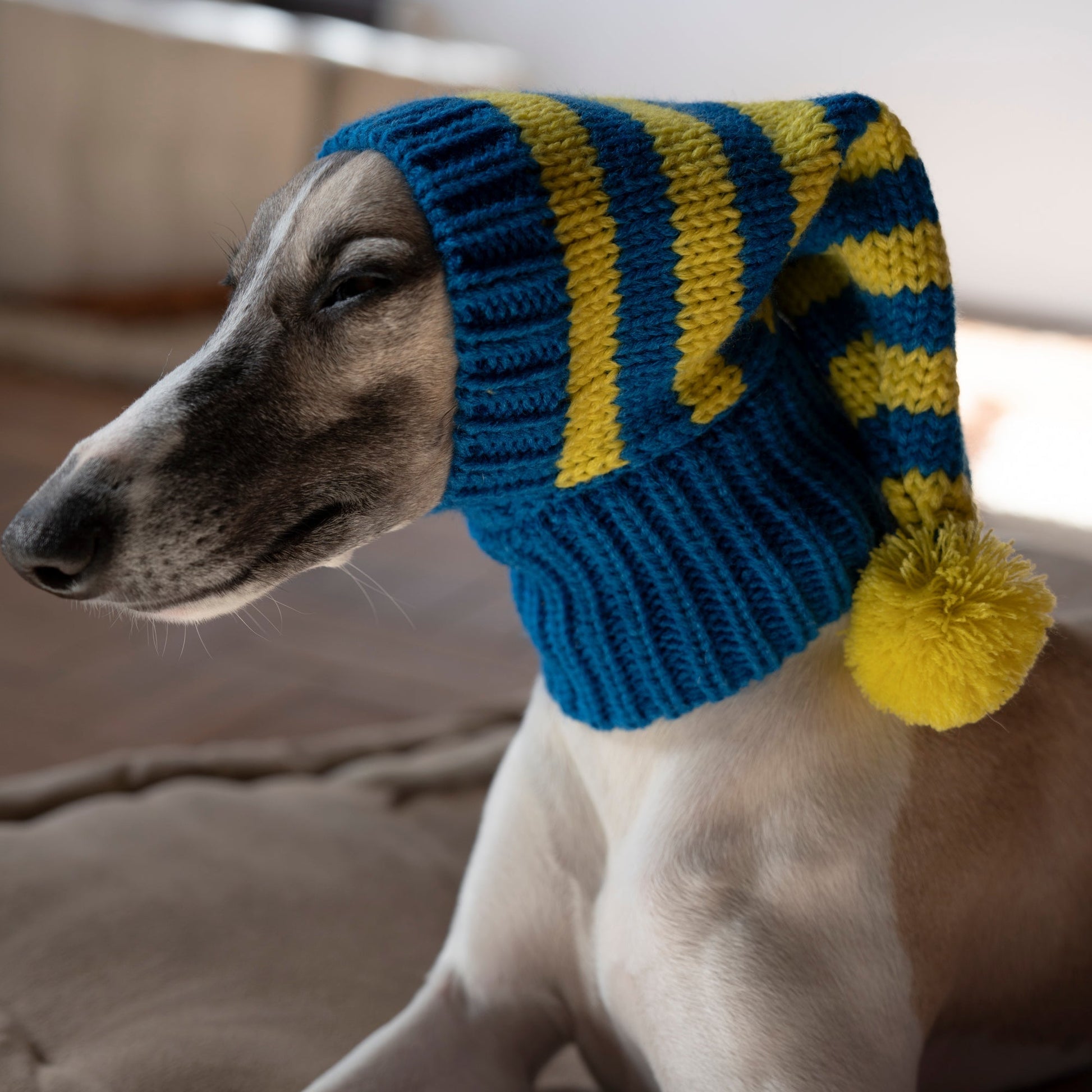 Pom Beanie Stripe Knitted Dog & Cat Hat - PIKAPIKA