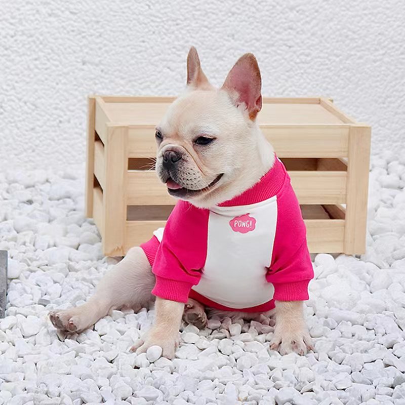 Print Shirt Sweatshirt Bulldog Dog Clothes - PIKAPIKA
