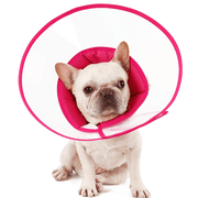 Protective Elizabeth Collar Dog Cone Anti - Bite Lick Scratch - PIKAPIKA