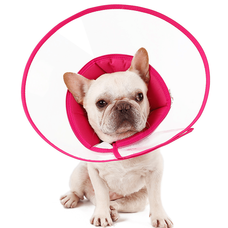 Protective Elizabeth Collar Dog Cone Anti - Bite Lick Scratch - PIKAPIKA