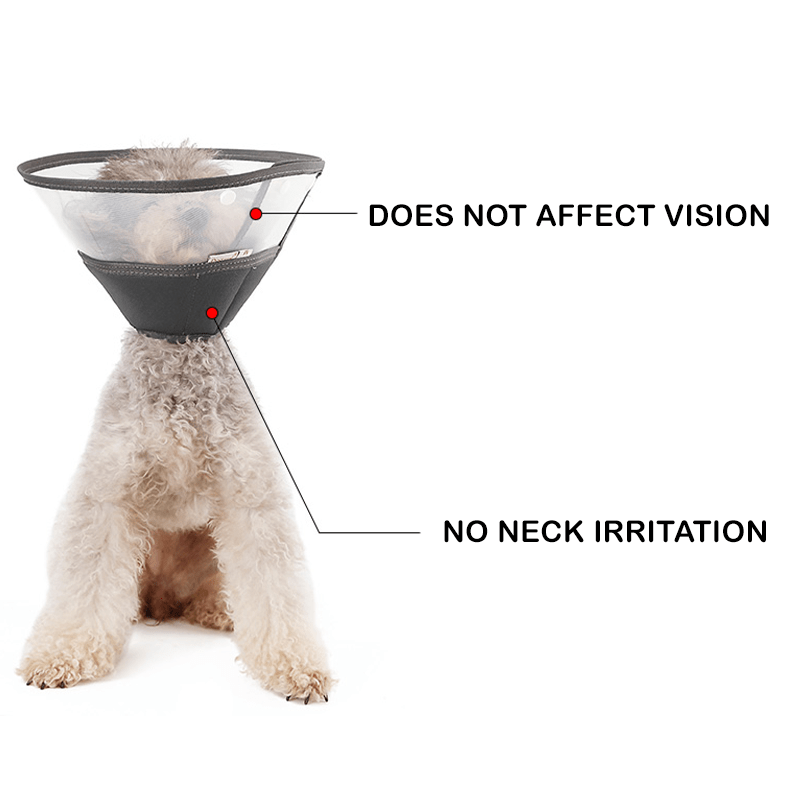Protective Elizabeth Collar Dog Cone Anti - Bite Lick Scratch - PIKAPIKA