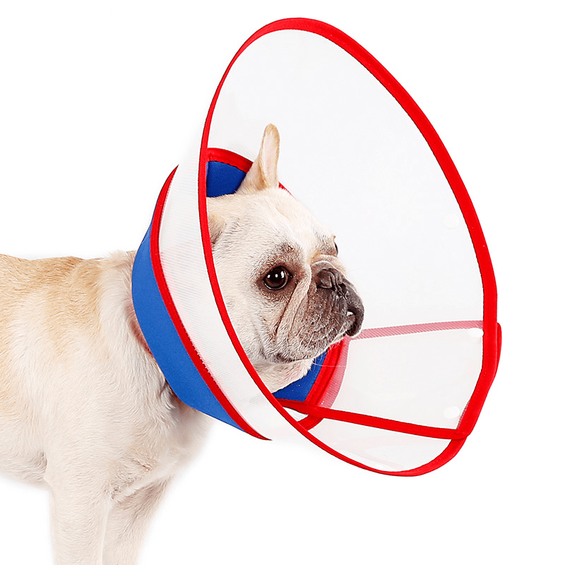 Protective Elizabeth Collar Dog Cone Anti - Bite Lick Scratch - PIKAPIKA