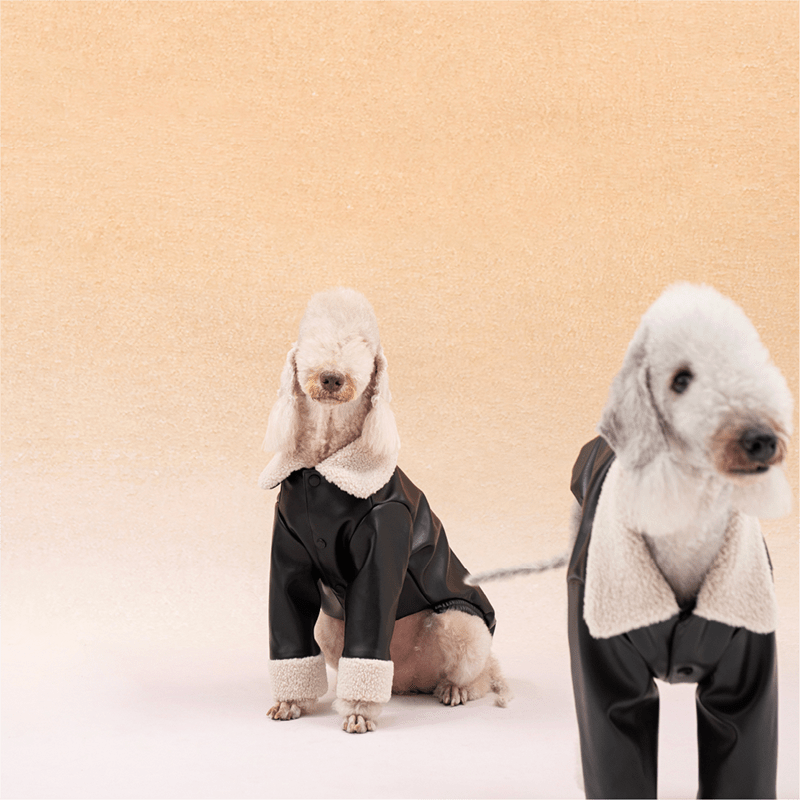 PU Jacket Dog Clothes Fleece Coat Bedlington - PIKAPIKA