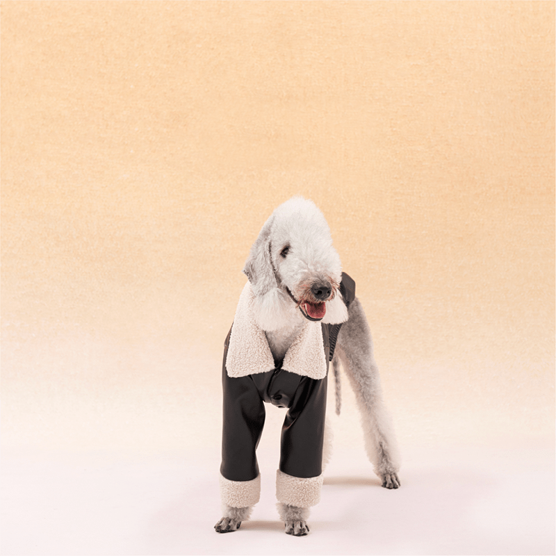 PU Jacket Dog Clothes Fleece Coat Bedlington - PIKAPIKA