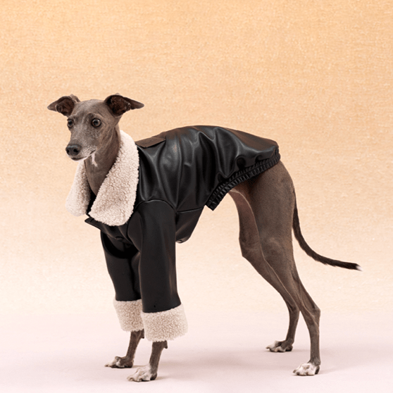 PU Jacket Dog Clothes Fleece Coat Bedlington - PIKAPIKA