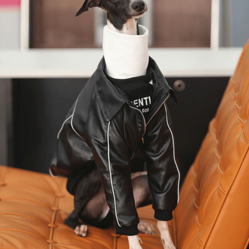 PU Leather Zip Jacket Warm Coat Italian Greyhound Whippet Dog Clothes - PIKAPIKA