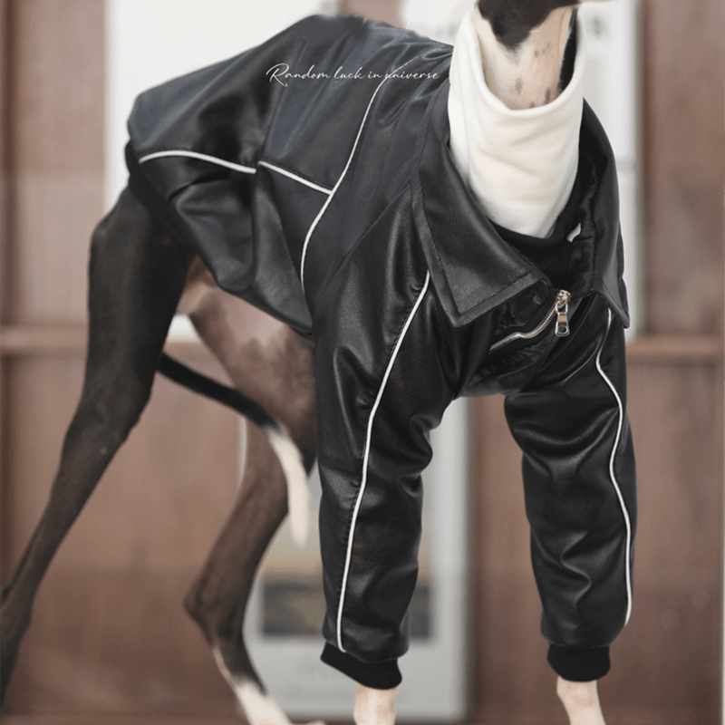 PU Leather Zip Jacket Warm Coat Italian Greyhound Whippet Dog Clothes - PIKAPIKA