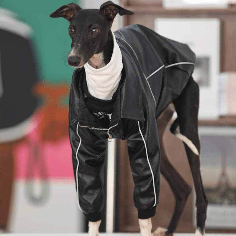 PU Leather Zip Jacket Warm Coat Italian Greyhound Whippet Dog Clothes - PIKAPIKA