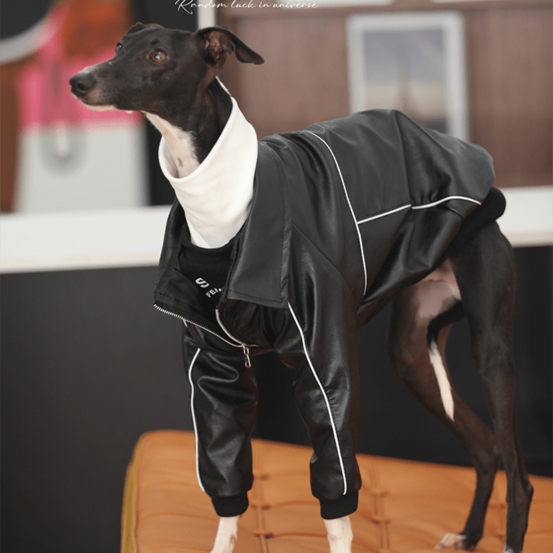 PU Leather Zip Jacket Warm Coat Italian Greyhound Whippet Dog Clothes - PIKAPIKA