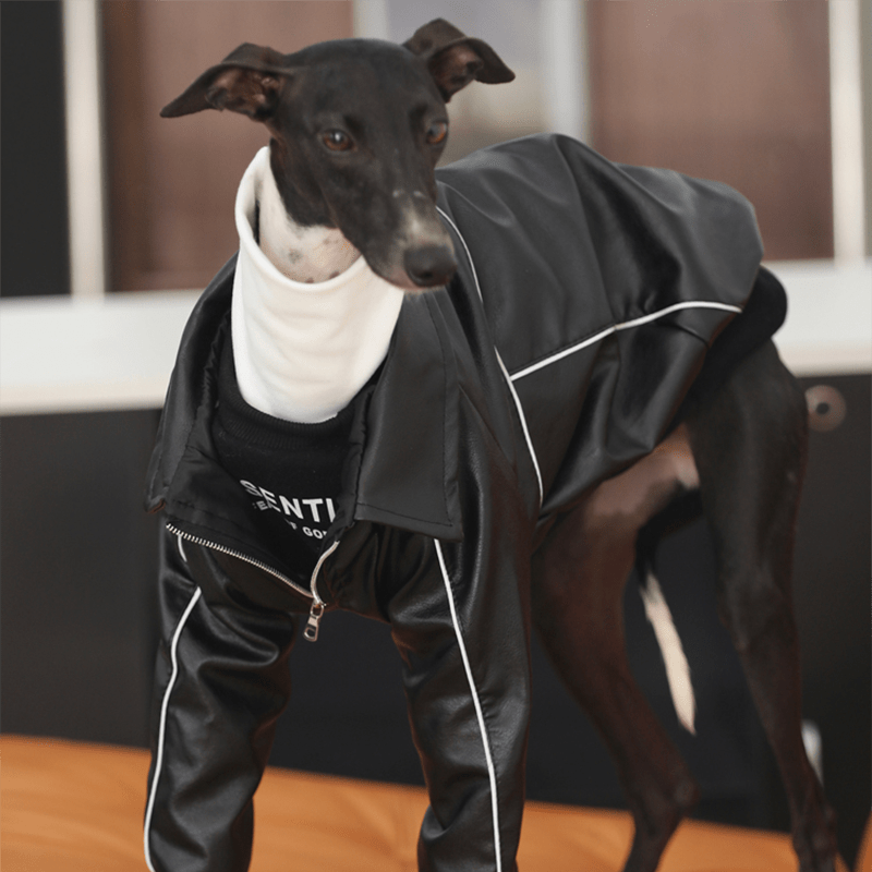 PU Leather Zip Jacket Warm Coat Italian Greyhound Whippet Dog Clothes - PIKAPIKA