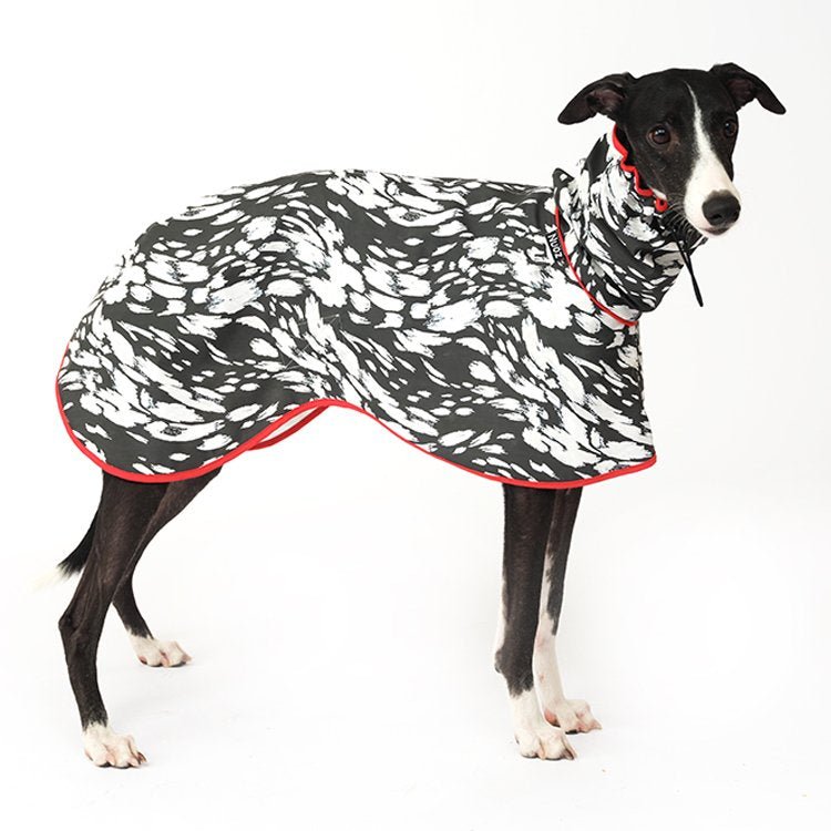 PU Waterproof Raincoat Windproof Cape for Sighthounds - PIKAPIKA