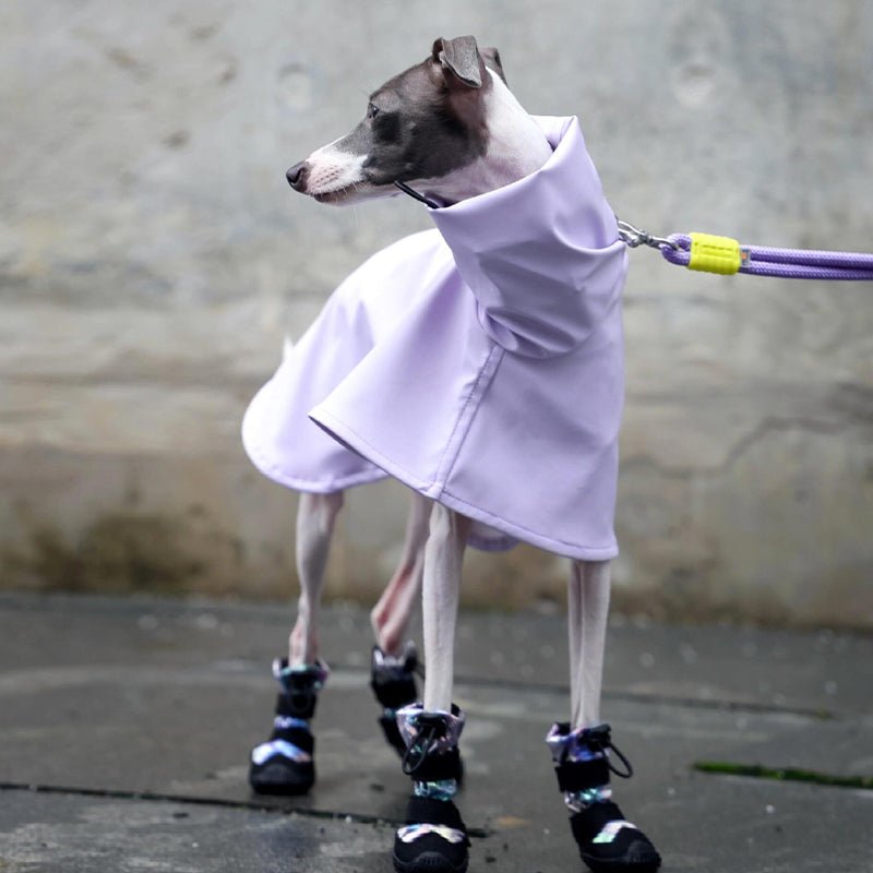 PU Waterproof Raincoat Windproof Cape for Sighthounds - PIKAPIKA