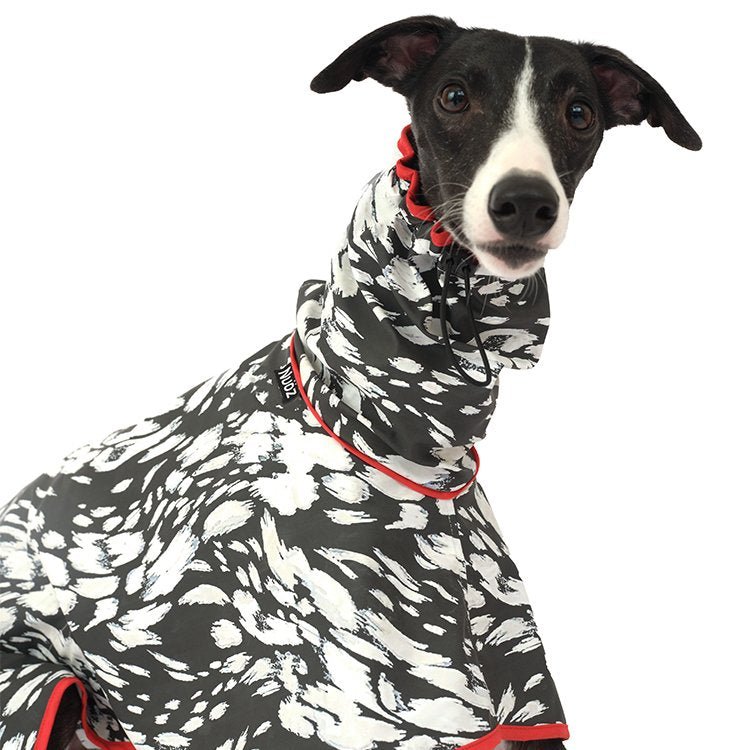 PU Waterproof Raincoat Windproof Cape for Sighthounds - PIKAPIKA