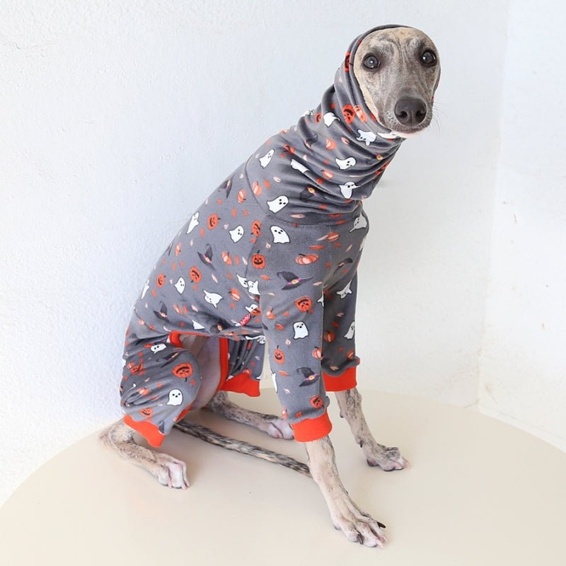 Pumpkin Orange Outfit for Italian Greyhound Whippet Dog Clothes - PIKAPIKA