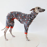 Pumpkin Orange Outfit for Italian Greyhound Whippet Dog Clothes - PIKAPIKA