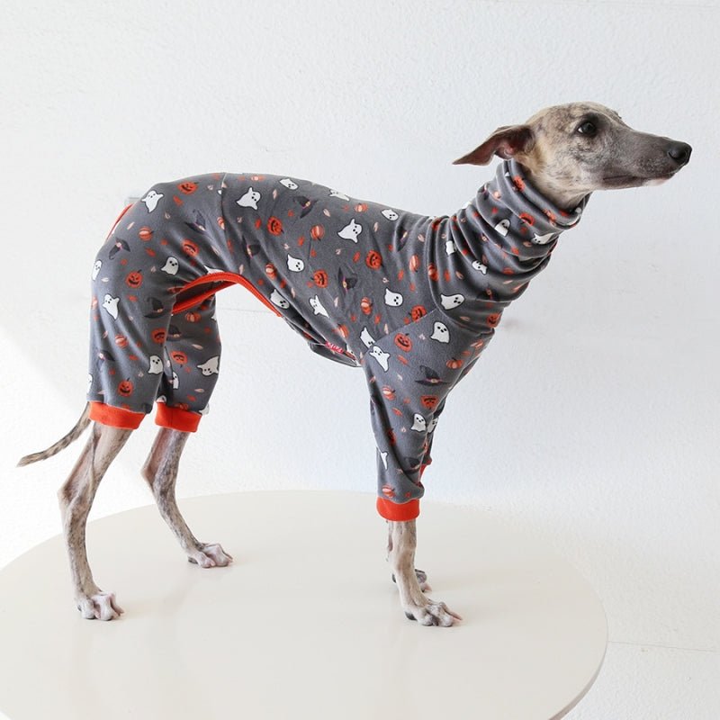 Pumpkin Orange Outfit for Italian Greyhound Whippet Dog Clothes - PIKAPIKA